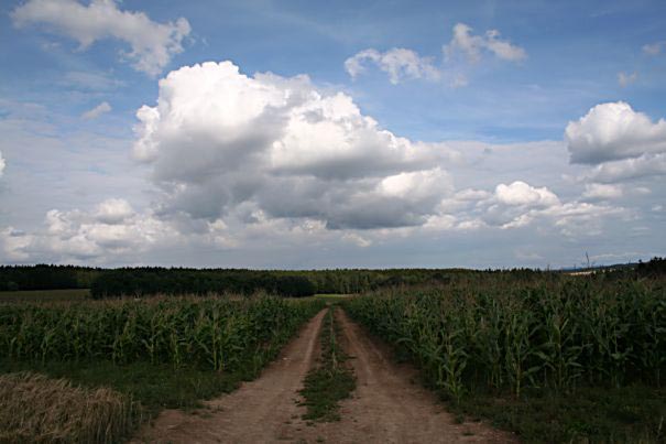 Der_Weg