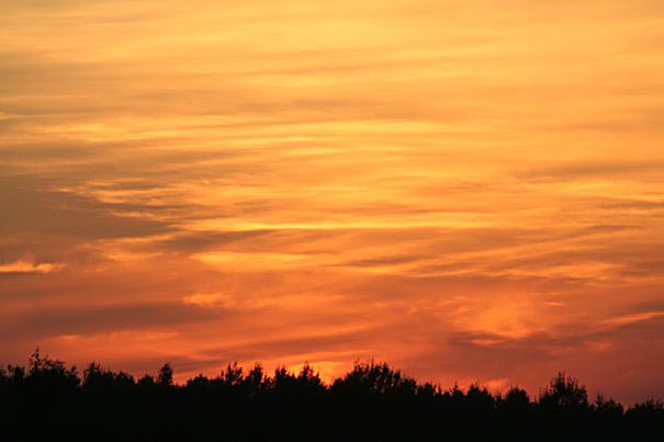 Feuer_ am_ Firmament