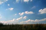 Am_Horizont1