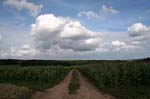 Der_Weg