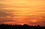 Feuer_ am_ Firmament
