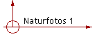 Naturfotos 1