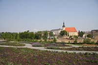 IMG_7634